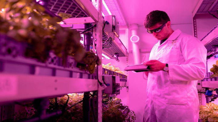 Engineers Week - Exploring Biosystems Engineer as a career