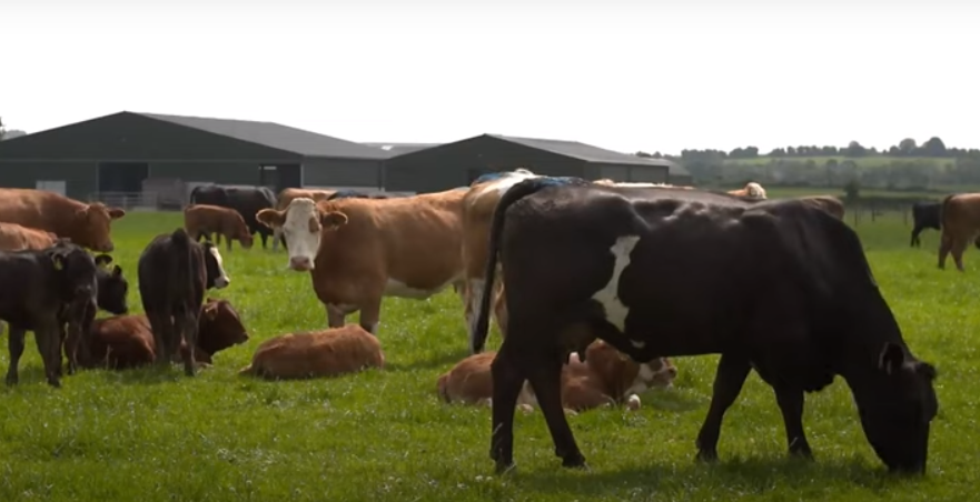 Teagasc Apprenticeship Programme Webinar Videos