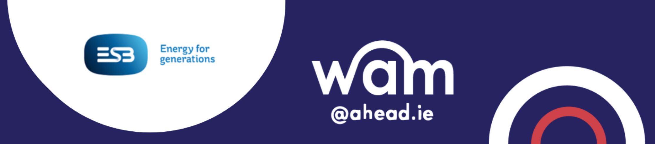 Willing Able Mentoring (WAM) Graduate Placements Open for Application with ESB 