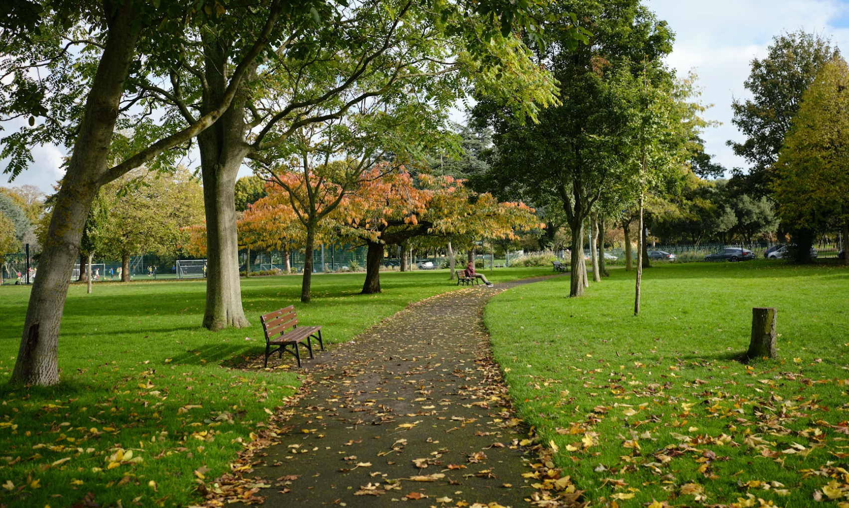 DCC Vacancies for Horticulture General Operatives