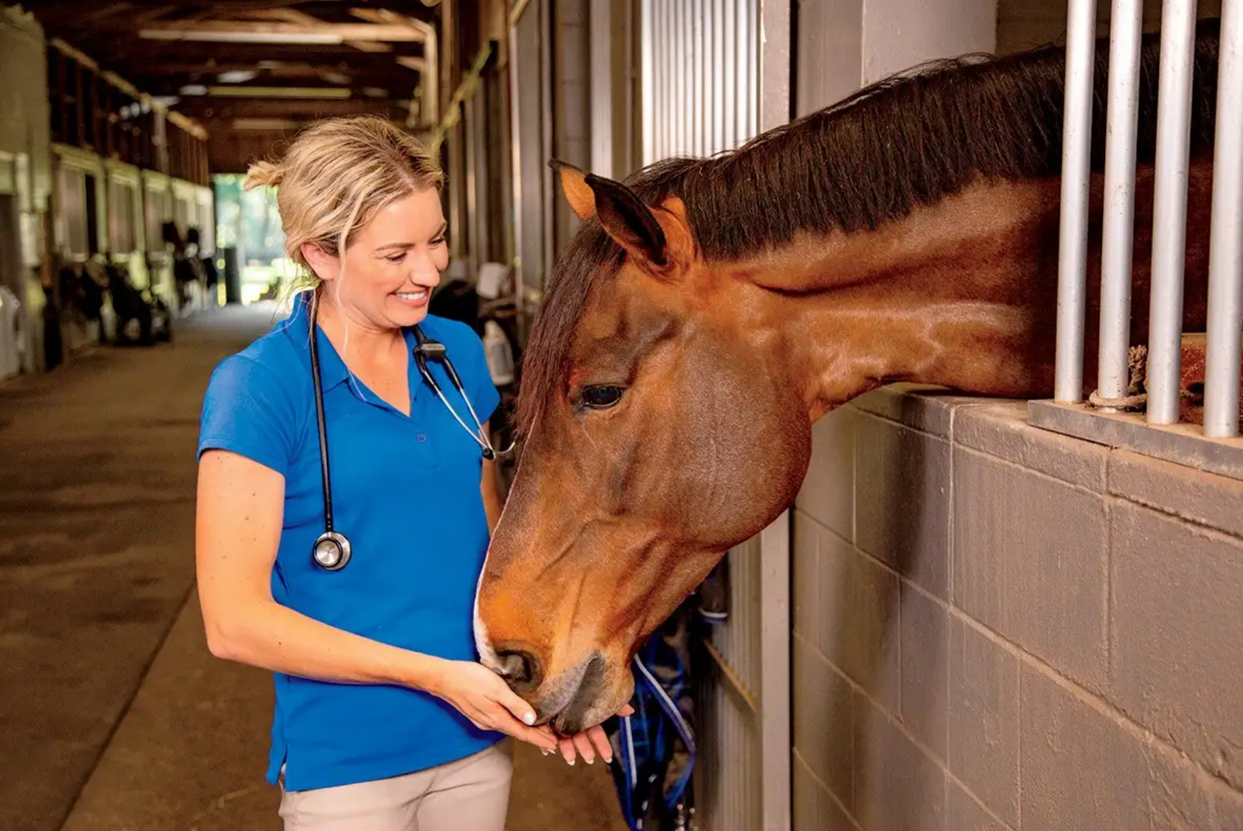 Studying Medical Sciences in Poland - Free Webinars for Irish Students